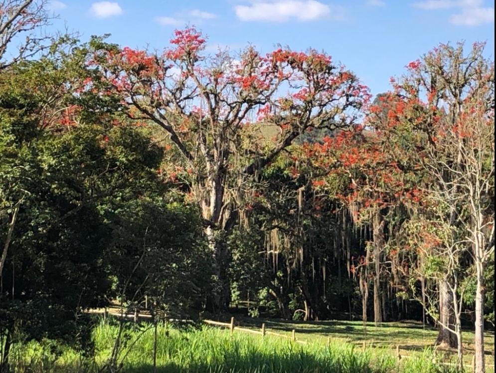 Vivenda Dos Guaranys -Um Projeto Ecologico - Casa Villa Conservatória Buitenkant foto