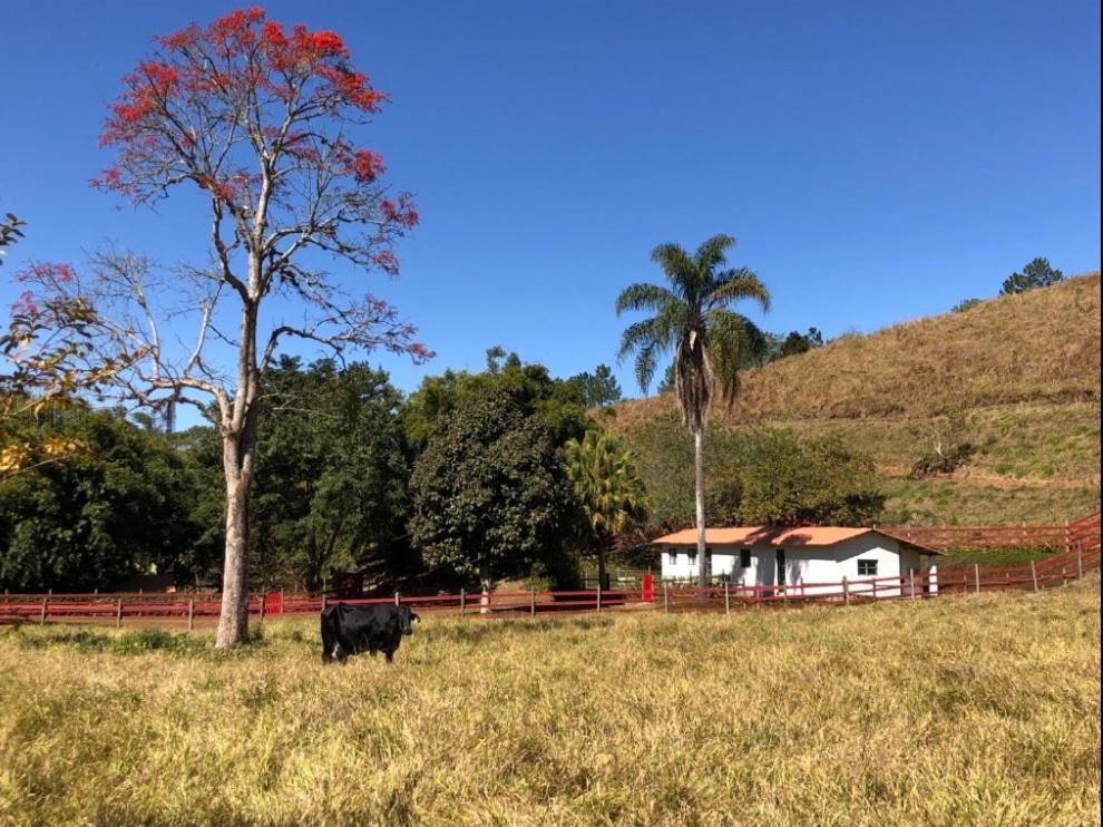 Vivenda Dos Guaranys -Um Projeto Ecologico - Casa Villa Conservatória Buitenkant foto