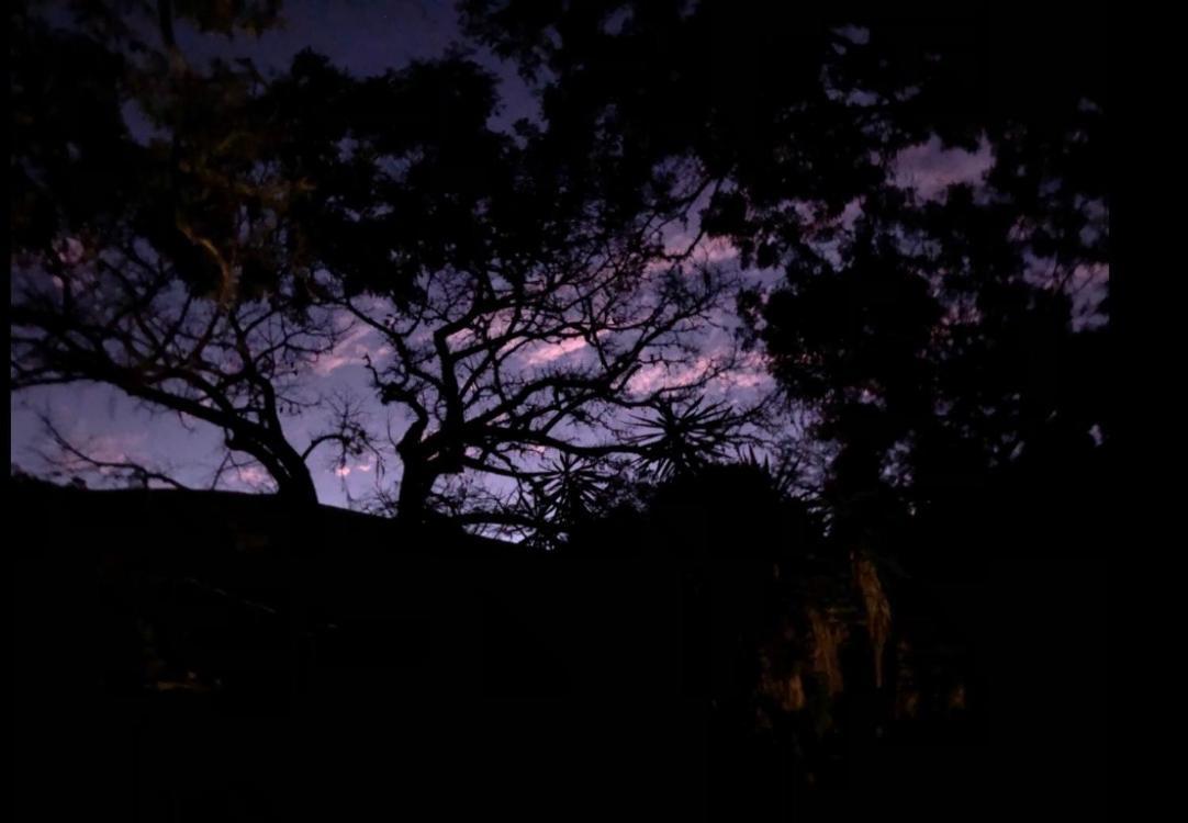 Vivenda Dos Guaranys -Um Projeto Ecologico - Casa Villa Conservatória Buitenkant foto