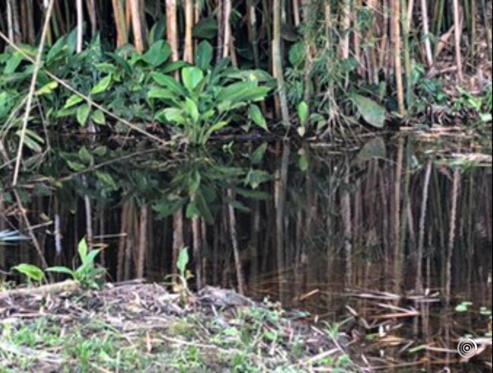 Vivenda Dos Guaranys -Um Projeto Ecologico - Casa Villa Conservatória Buitenkant foto
