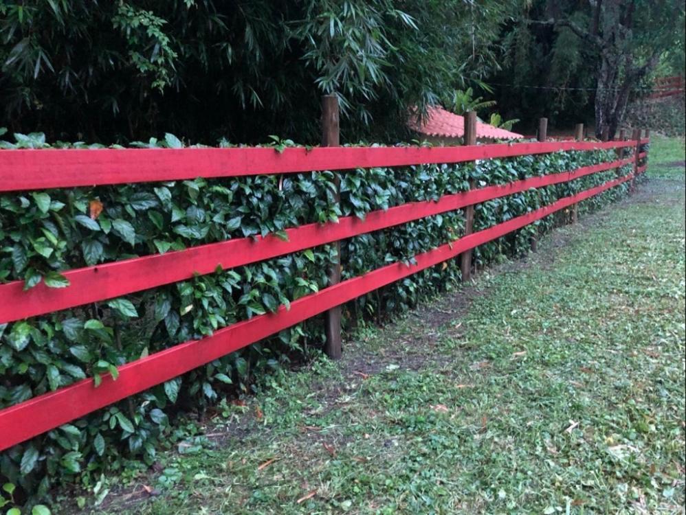 Vivenda Dos Guaranys -Um Projeto Ecologico - Casa Villa Conservatória Buitenkant foto